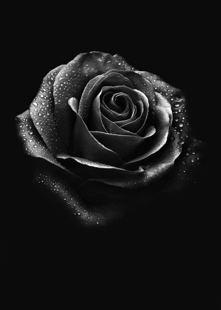 Photograph by Ольга Распопова