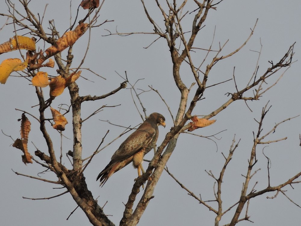 Photograph by Madhurima Banerjee