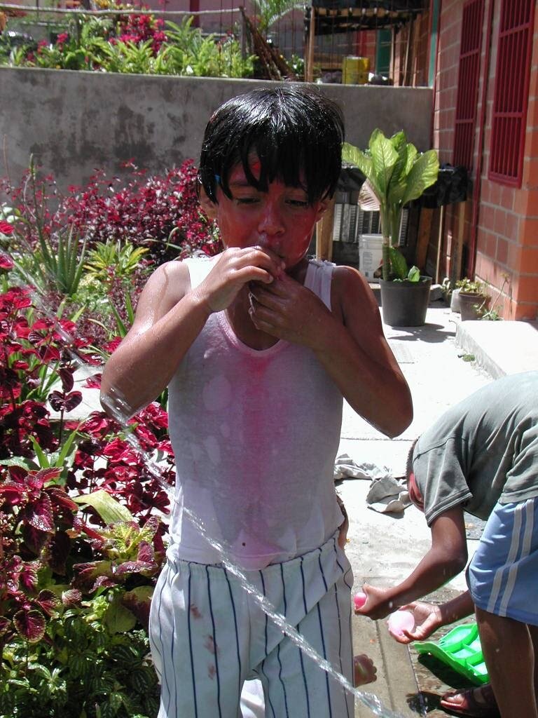 Photo #4344261