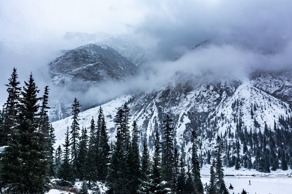 Photograph by Василий Шумкин