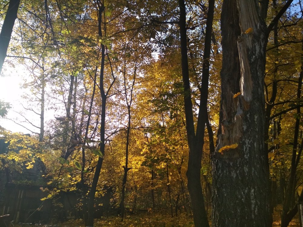 Photograph by Александр Иванов