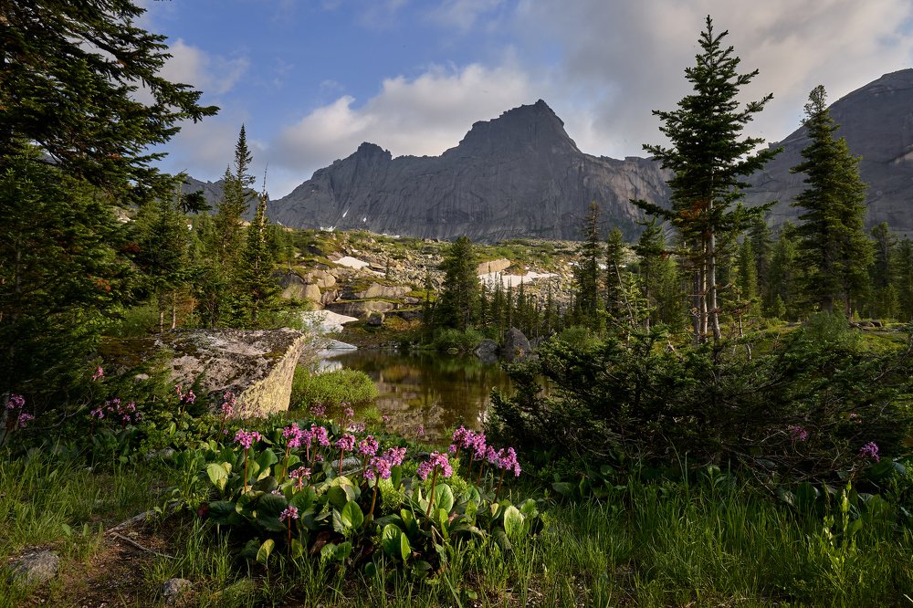 Photograph by Сергей Межин