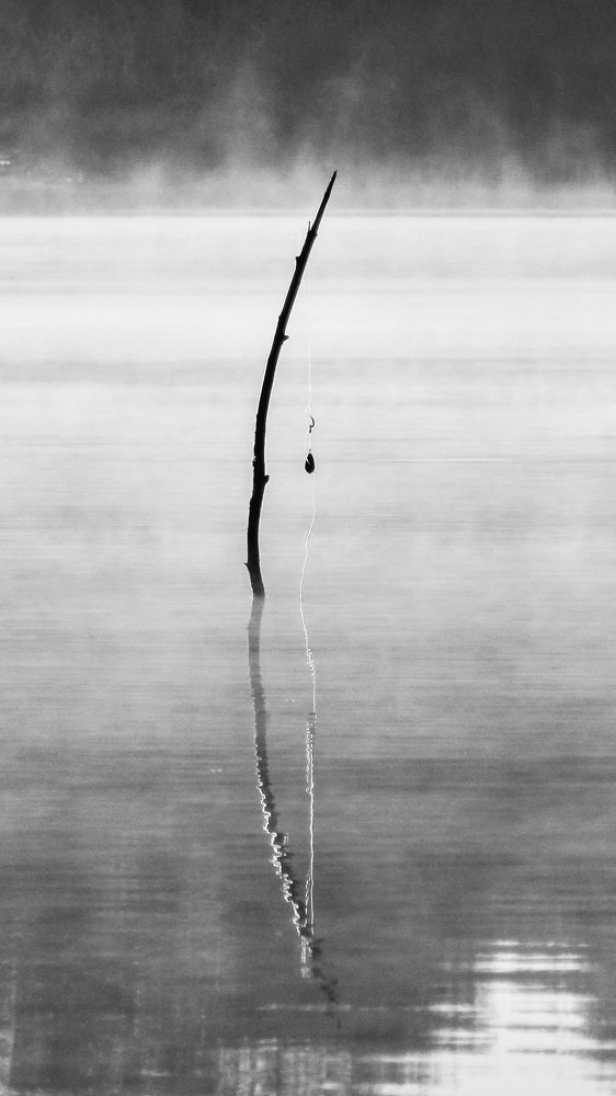 Ни рыбака, ни рыбки