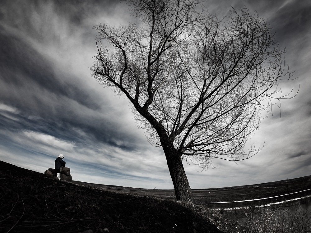 Photograph by Дубинин Сергей