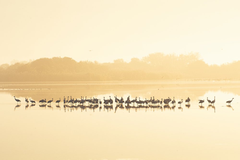 Photograph by Илья Зускович