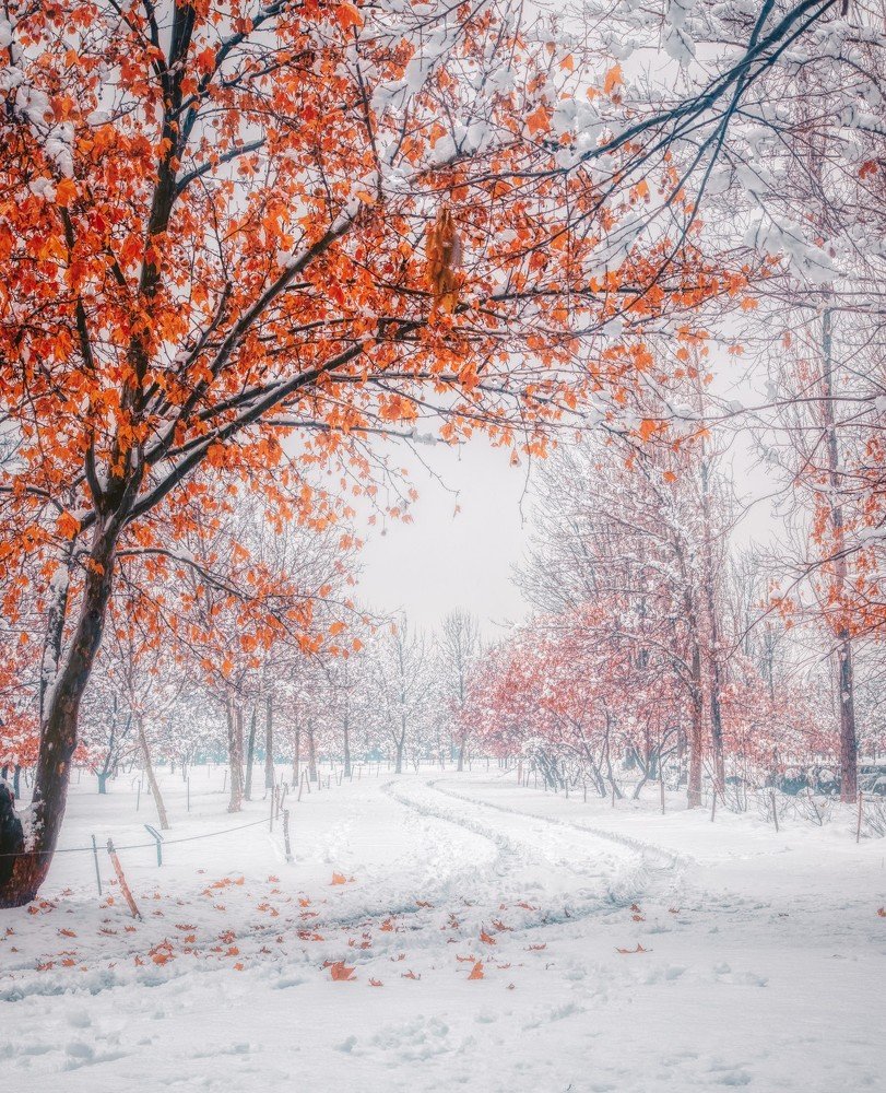 Фотография автора Pejman Sadeghzadeh