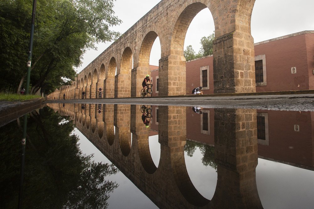 Photograph by Enrique