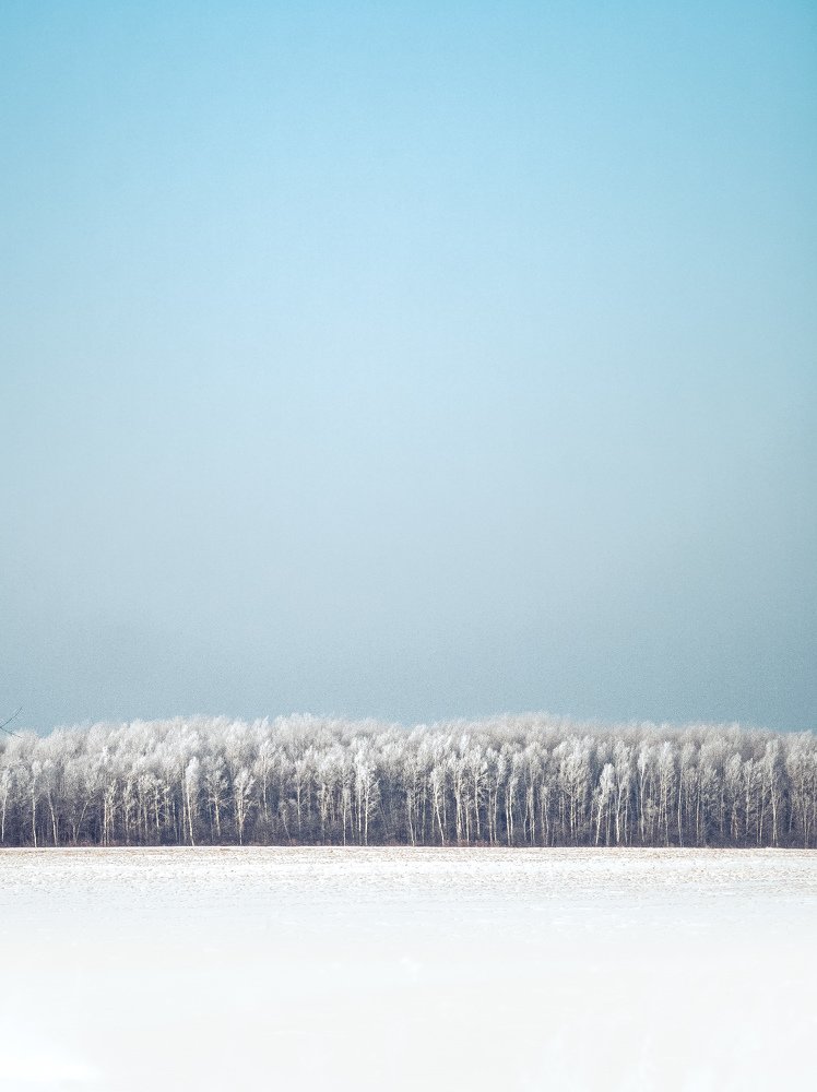 Photograph by Дмитрий Китайкин