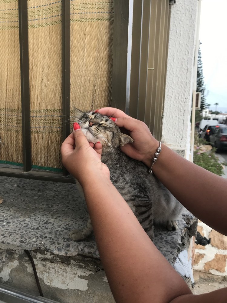 Photograph by Мария Шрейдер