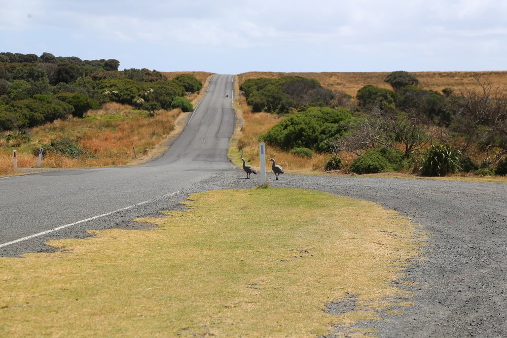 Photograph by Dmitriy Milovanov