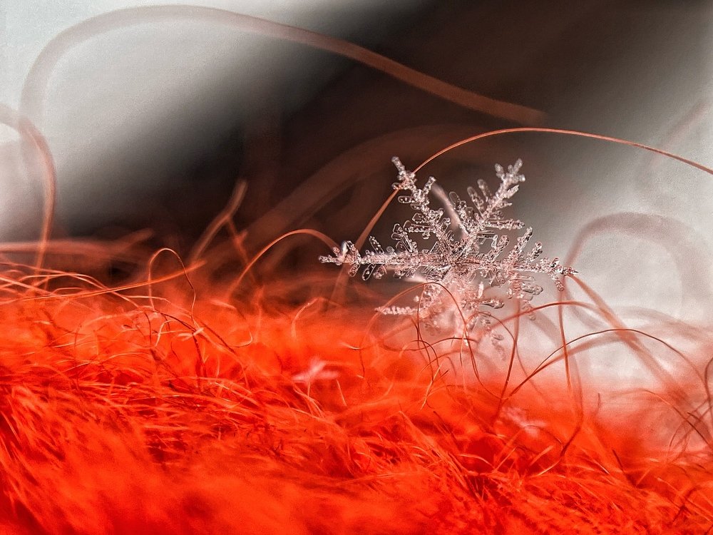 Photograph by Дана Жулдызбек