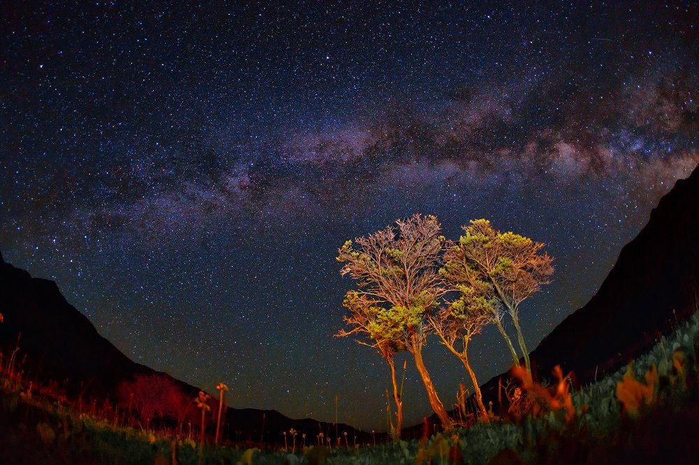 Photograph by Евгений Мезенцев