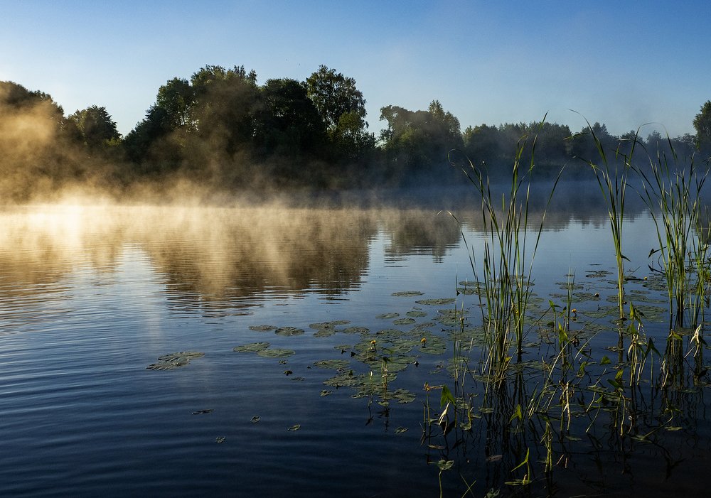 Photograph by Марина Брыдня