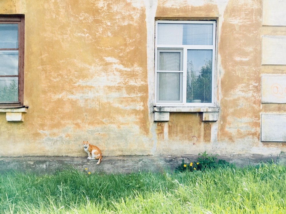 Photograph by Роберт Руба