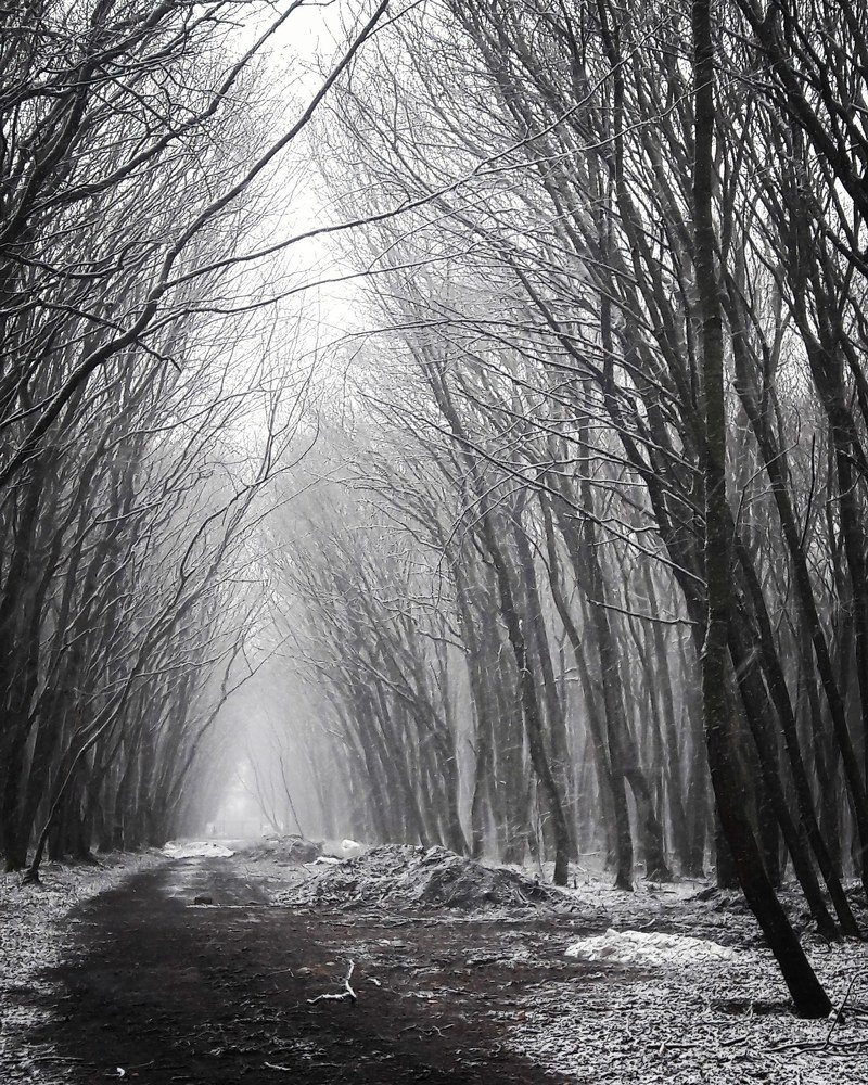 Photograph by Елизавета Можельская