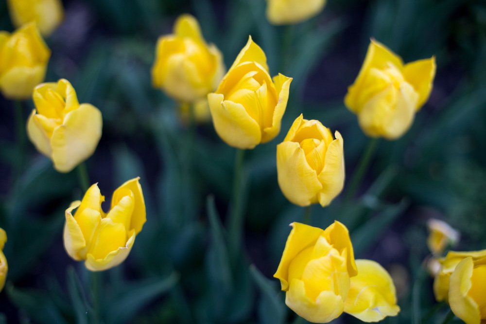 Photograph by Елизавета Можельская