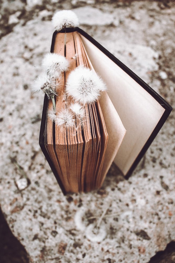 Photograph by Silvia Dubceac