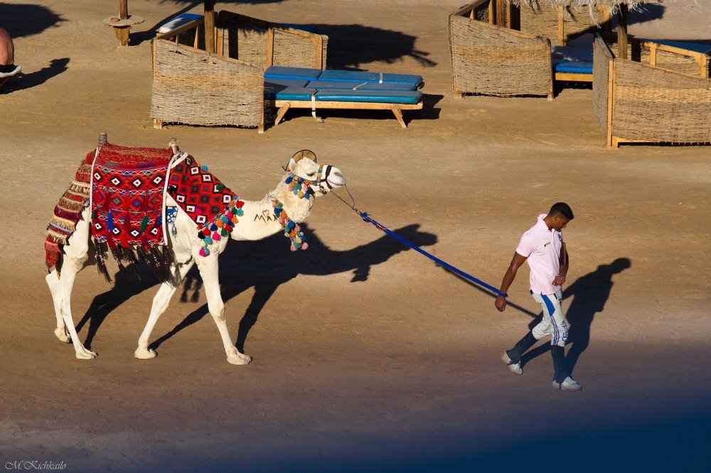 Photograph by Максим Кичкайло