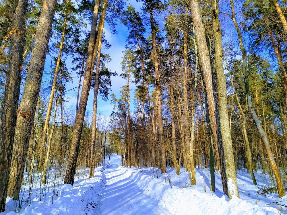 Photograph by Шорин Александр