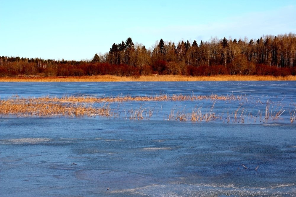 Photograph by Нина Никонорова