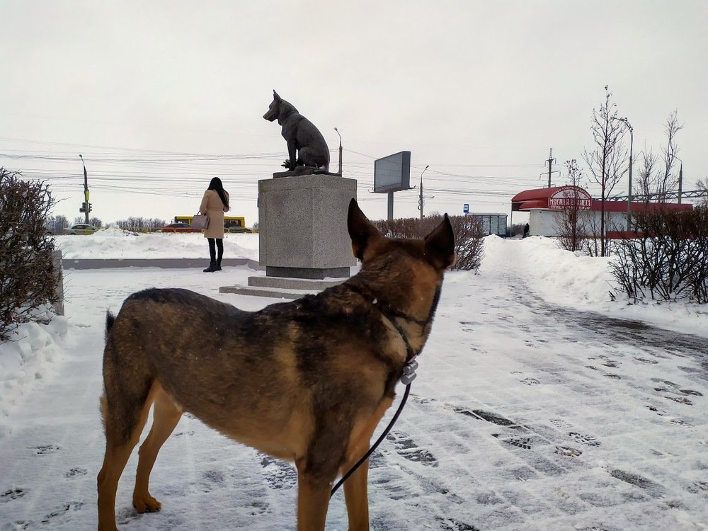 Photograph by Шорин Александр