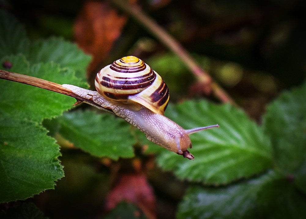 Photograph by Басалаев Евгений