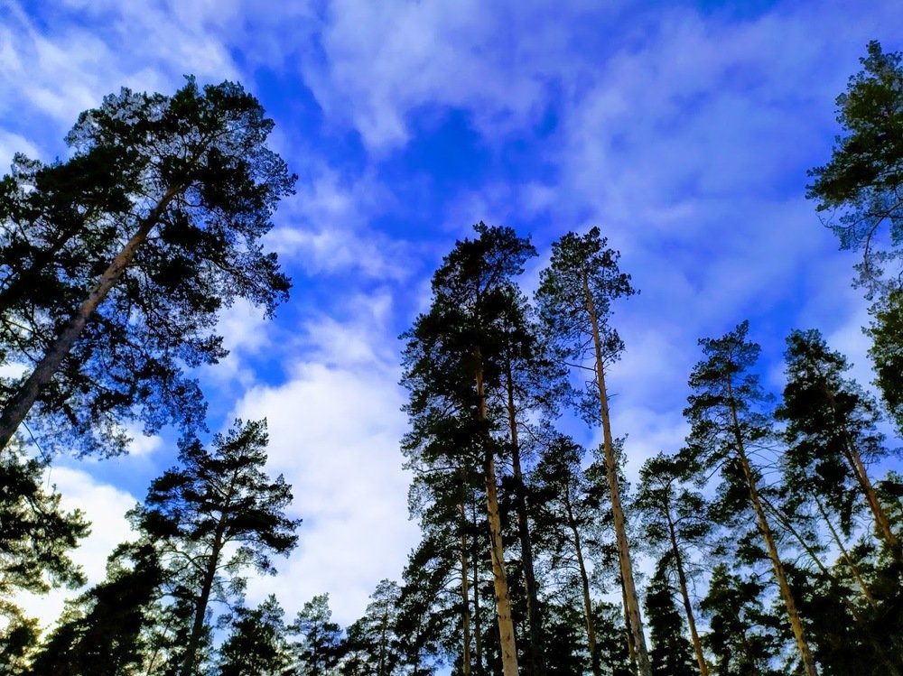 Photograph by Шорин Александр