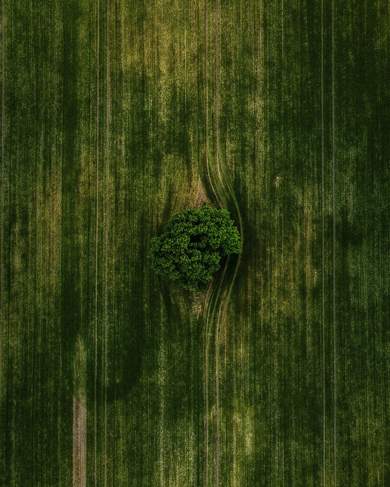 Photograph by Антон Шваин