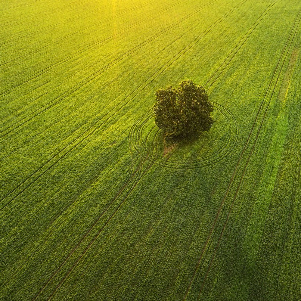 Photograph by Антон Шваин