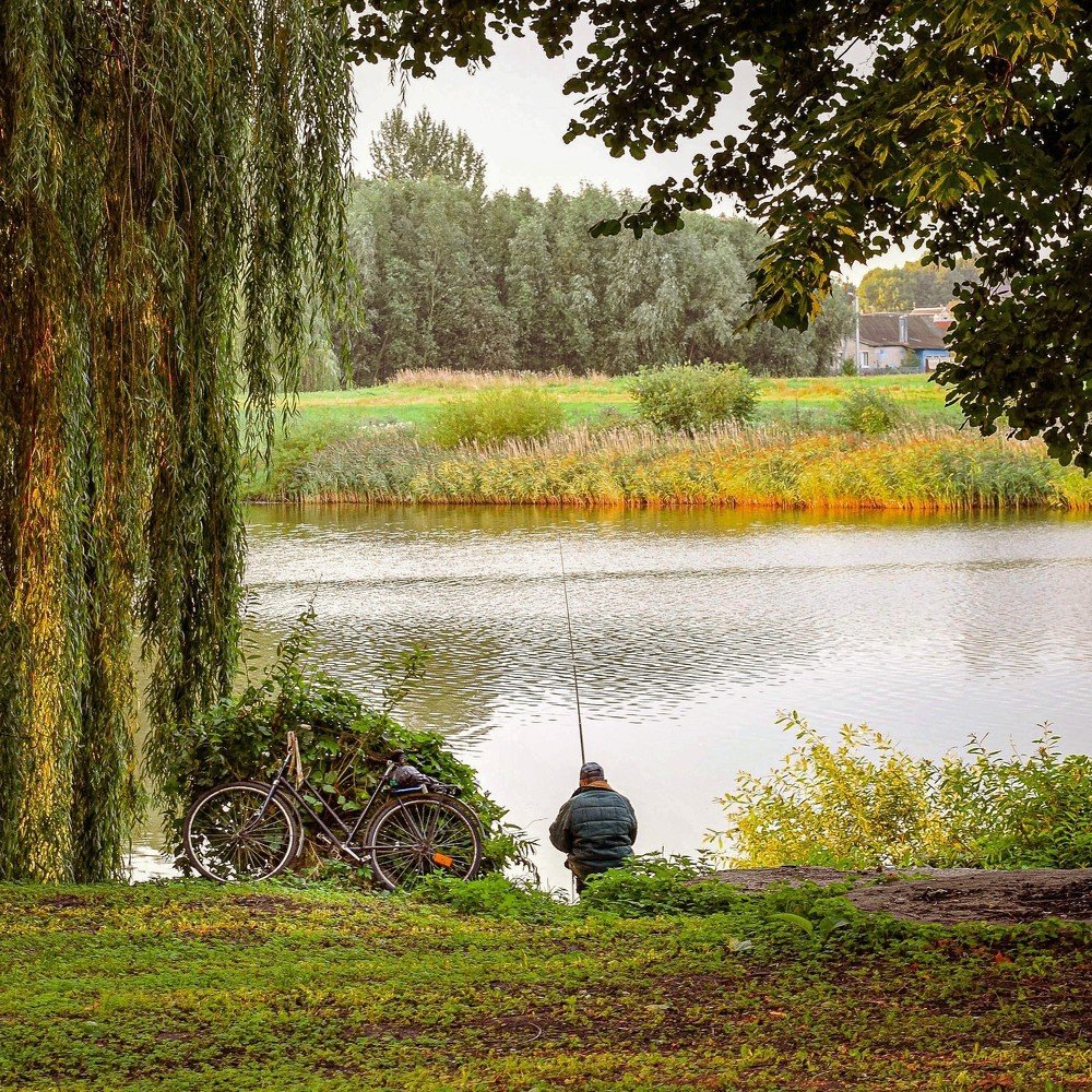 Утренняя рыбалка