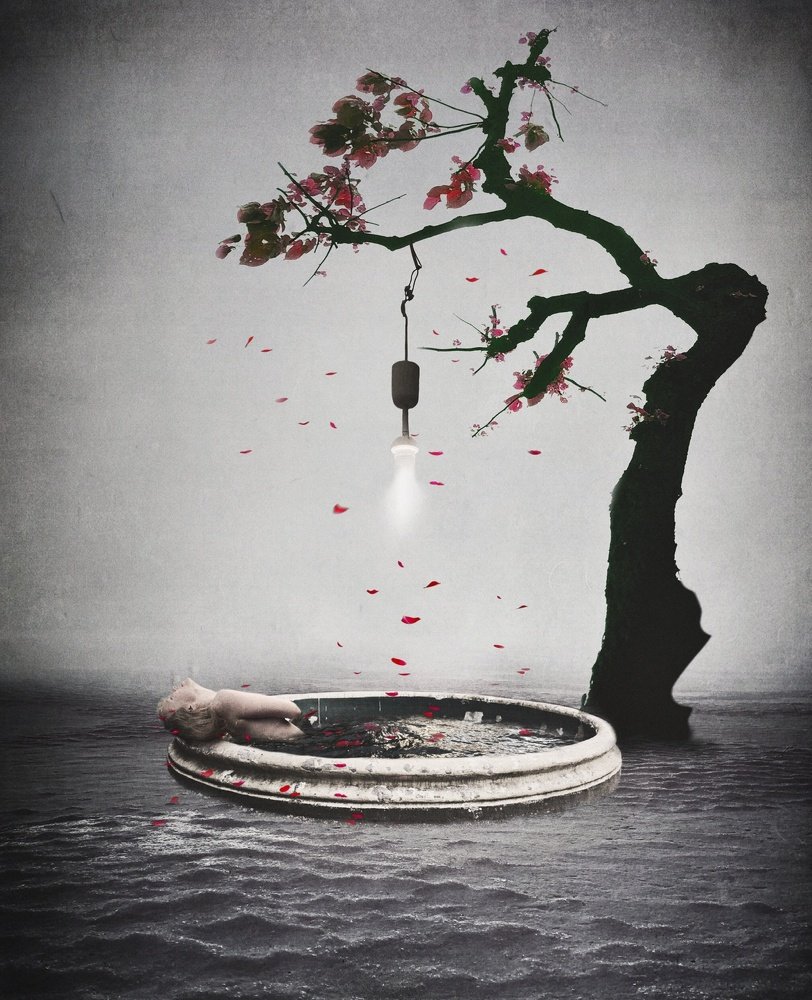 Photograph by Анна