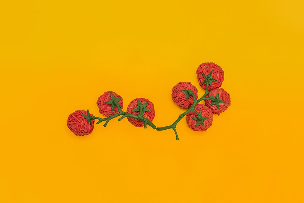 Plastic in food and human body