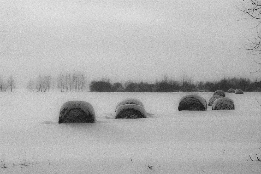 Photograph by Валентин Завьялов