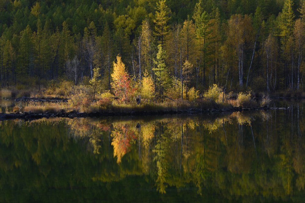 Осенние краски