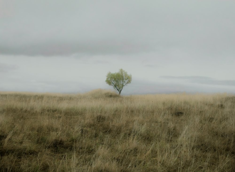 Photograph by Виктор Карпухин