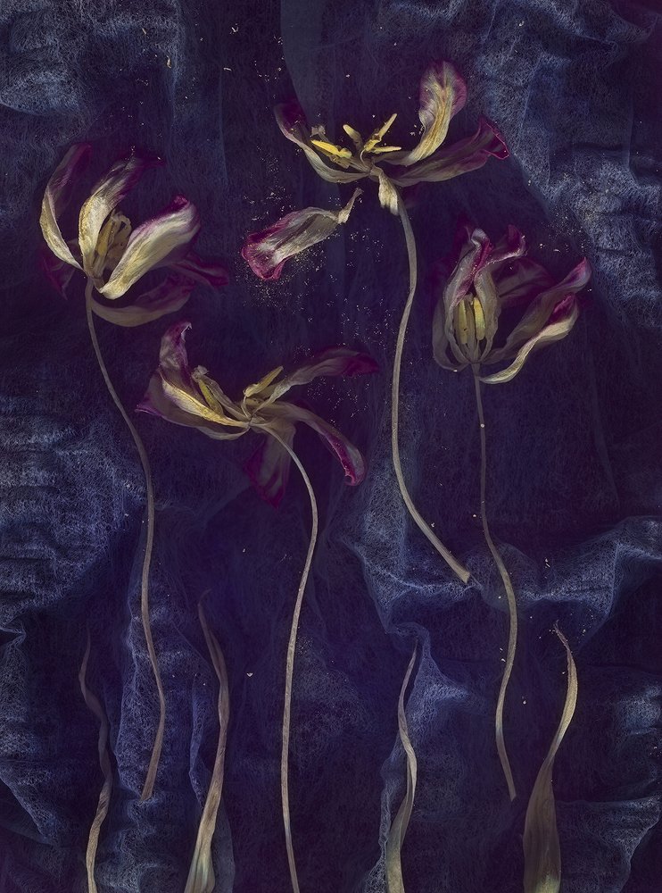 Photograph by Ирина Туяхова