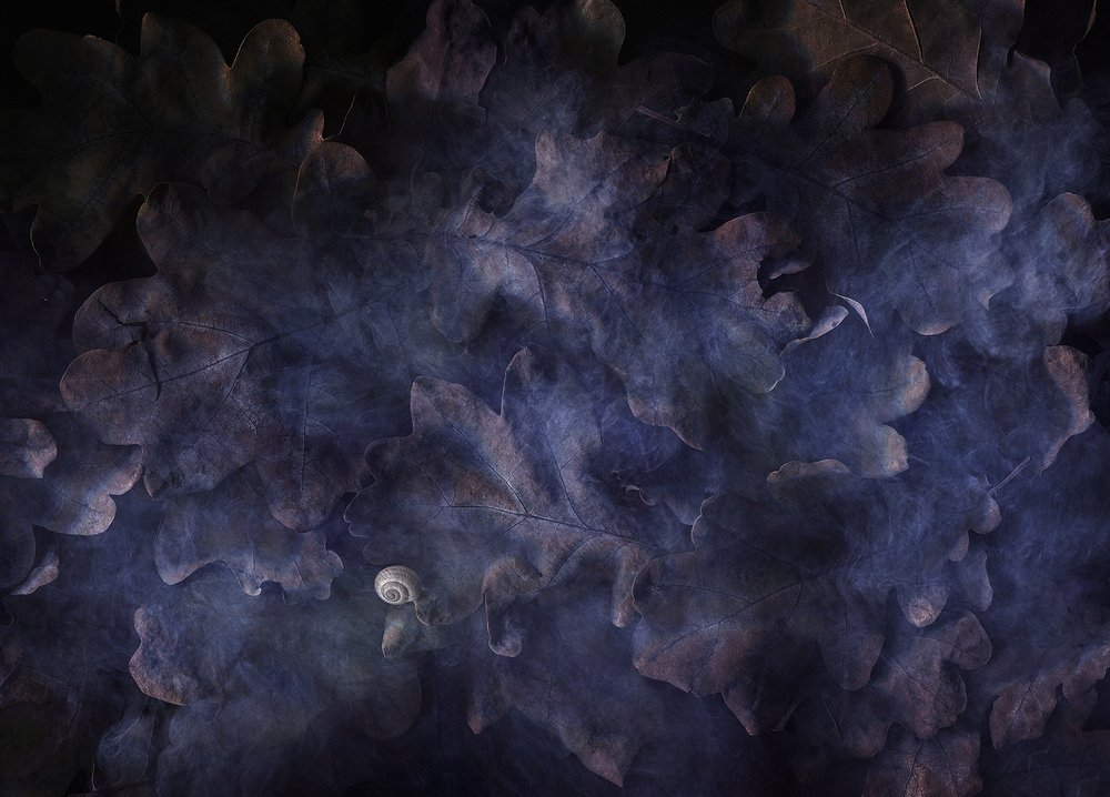 Photograph by Ирина Туяхова