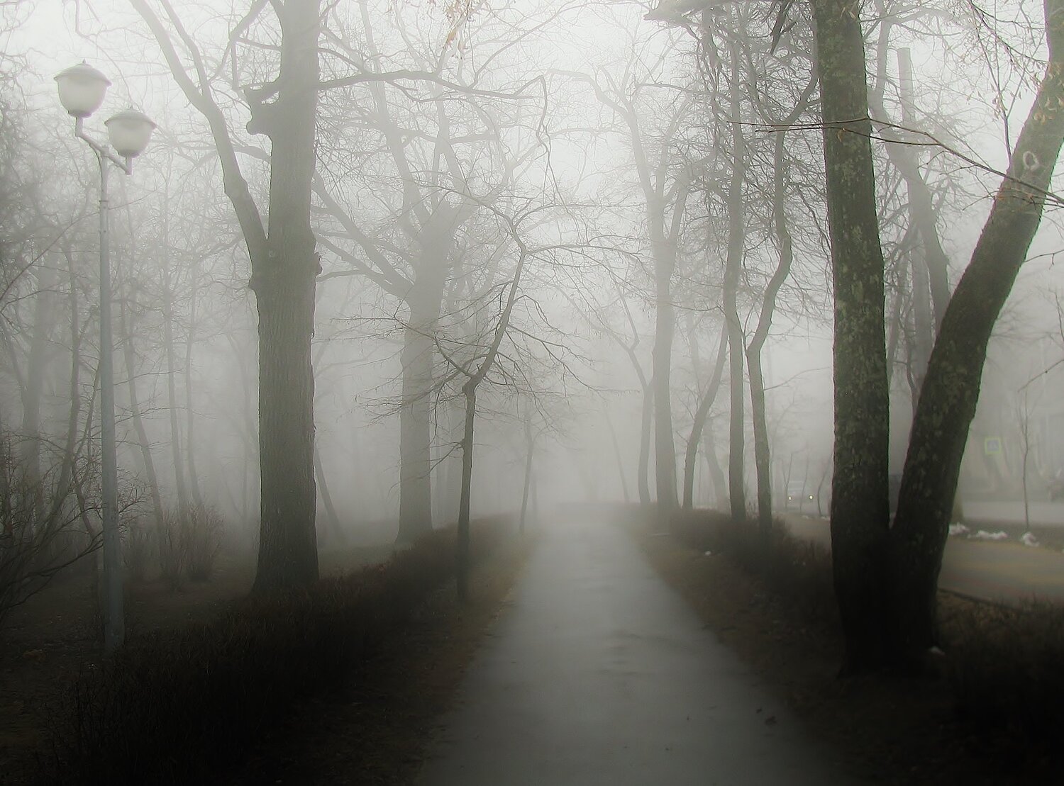 Photo #4345759