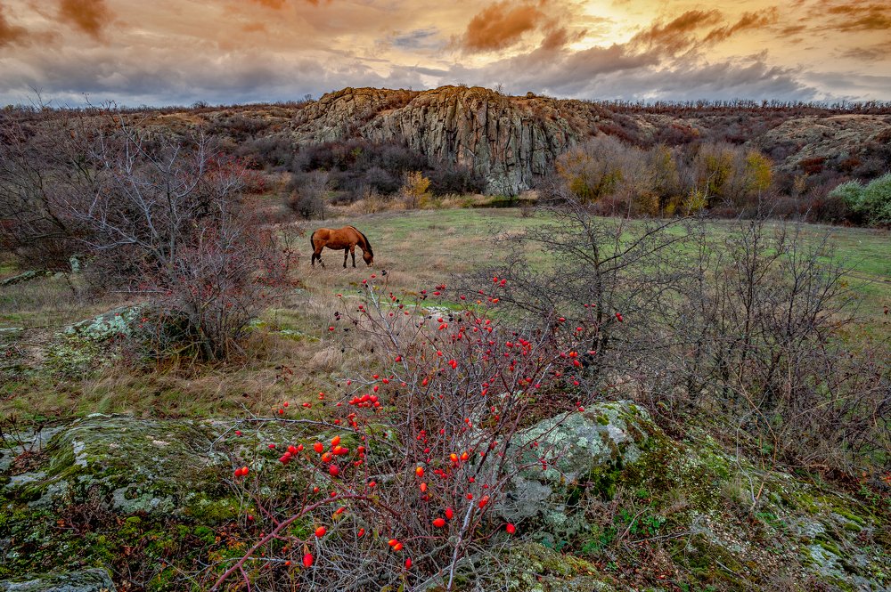 Photograph by Юрий Кружнов