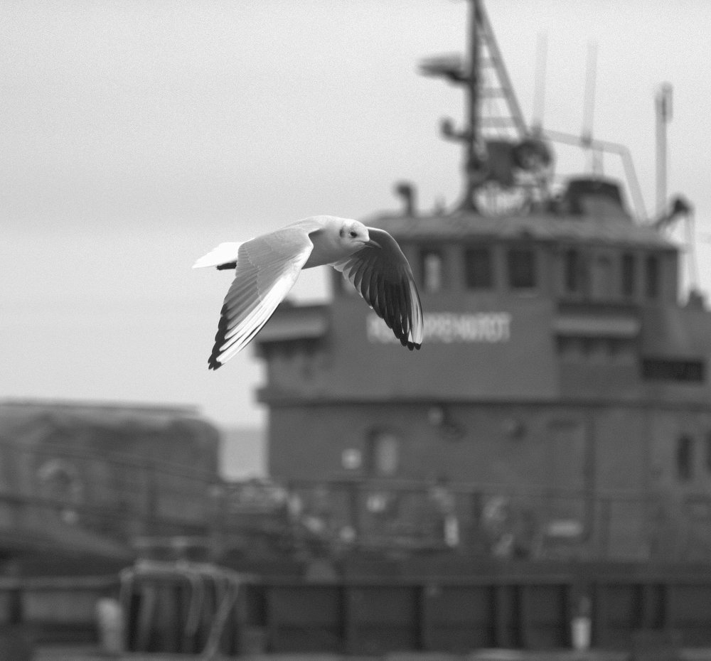 Photograph by Константин Бокарев