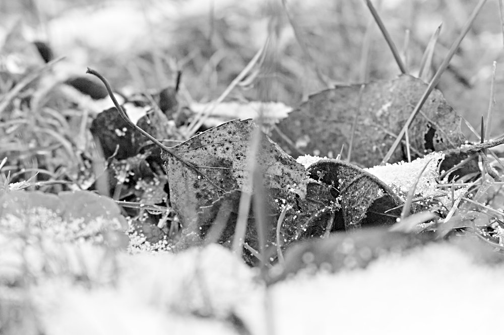 Photograph by Евгений Козлов