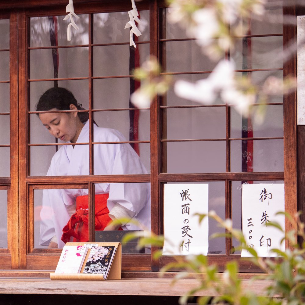 Фотография автора Михаил Трищенков