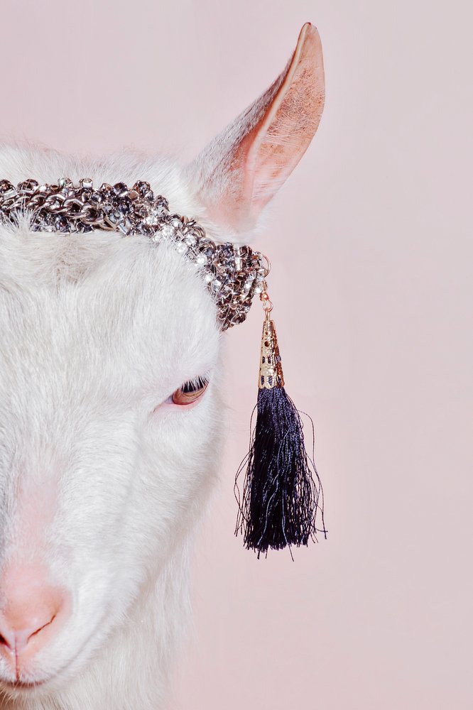 Photograph by Ирина Богатырева