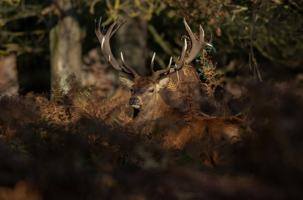 Фотография автора MARIA KULA