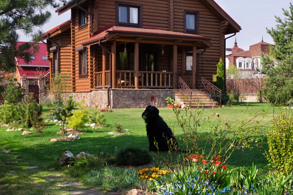 Из жизни за городом