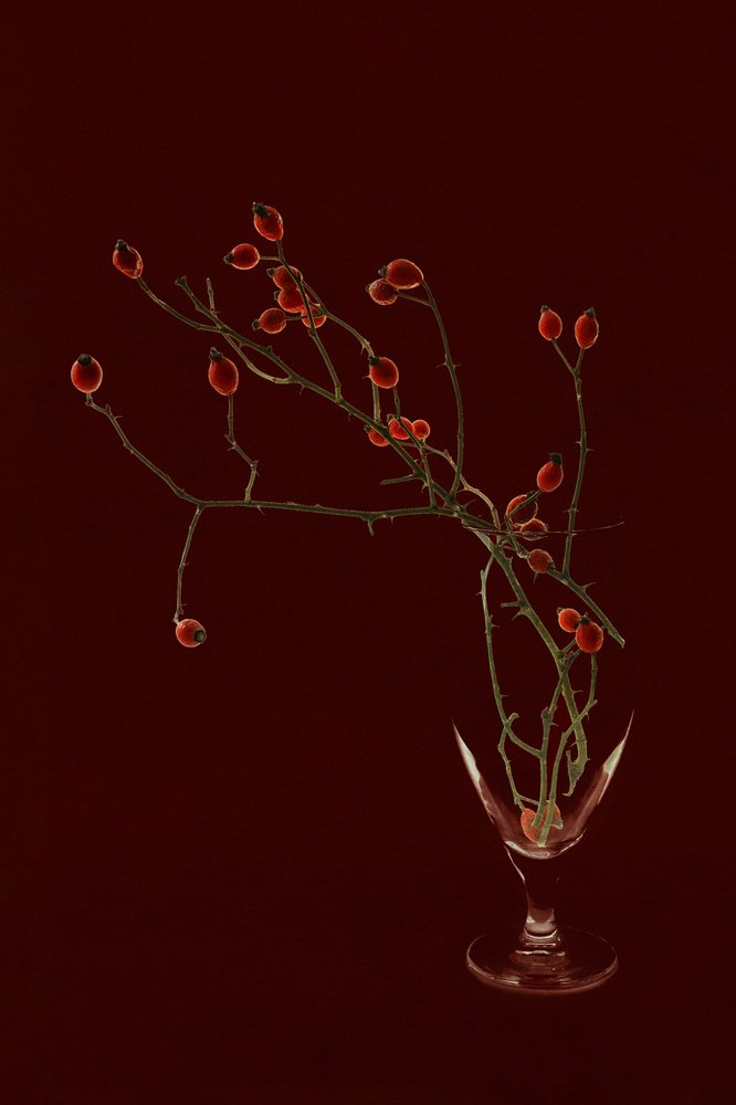 Photograph by Анжелика Королева