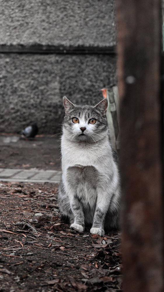 Photograph by Артем Макаров