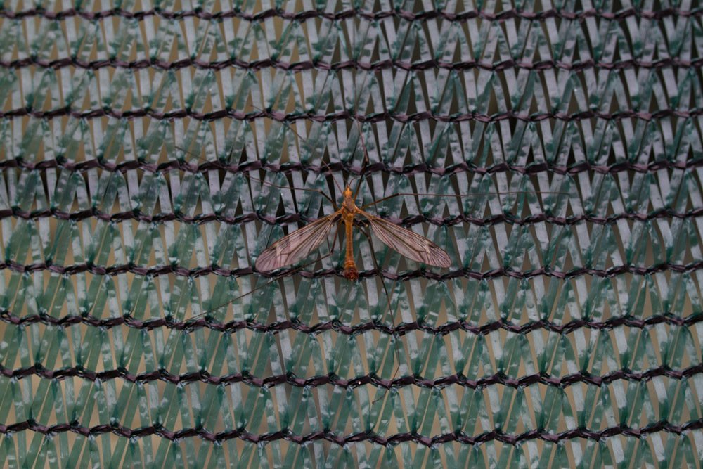 Фотография автора Мария Креймер