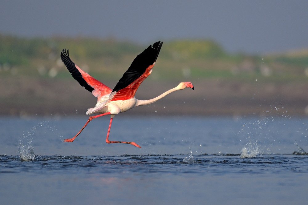 The moment in space .