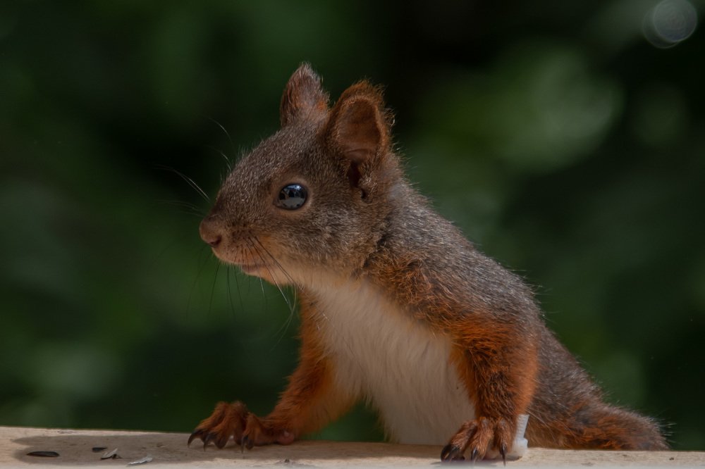 Photograph by Евгений